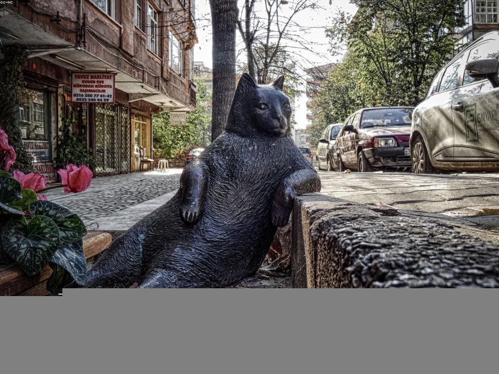 សារៈសំខាន់នៃការពិភាក្សាសាធារណៈ